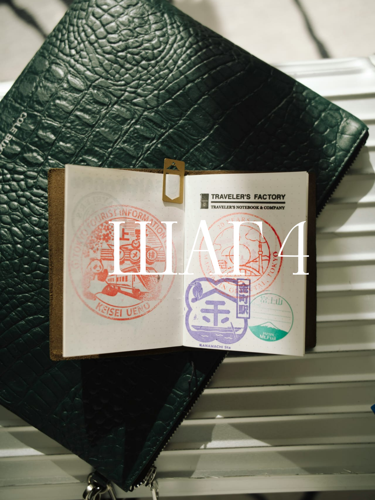 Портрет человека